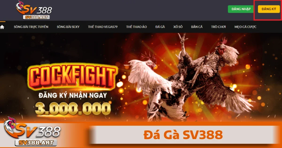 ĐÁ GÀ 2 Đấu gà cựa sắt là thể loại mang tính cạnh tranh cao, sử dụng cựa sắt mạ bạc hoặc thép nhằm giúp các chiến kê có những cú chặt mạnh hơn