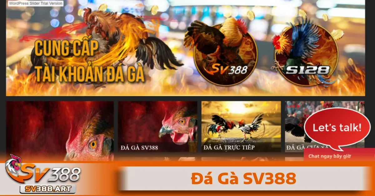 ĐÁ GÀ 3 Quy trình tham gia đặt cược đá gà Sv388 chi tiết
