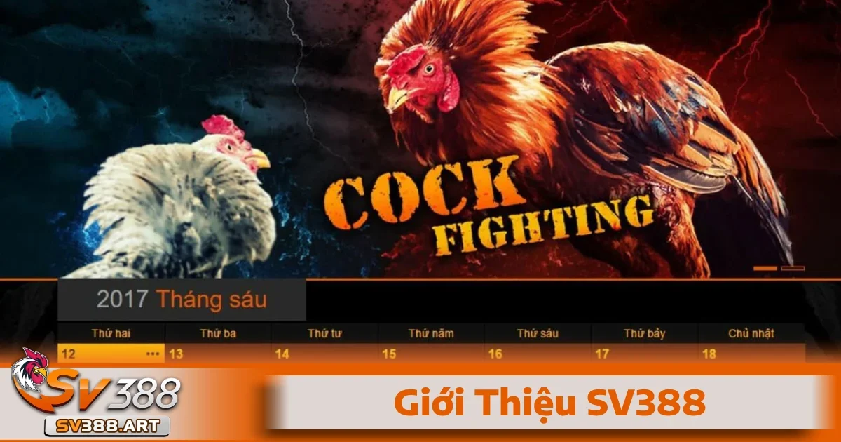 Giới Thiệu SV388 1 Giới thiệu SV388 mang đến một cái nhìn toàn diện về một thương hiệu đá gà nổi bật tại châu Á.